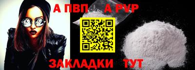 стаф Кингисепп