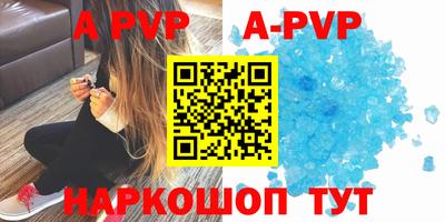 стаф Кингисепп