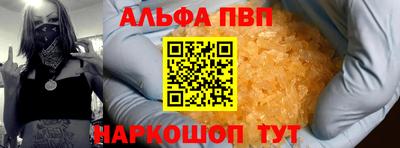стаф Кингисепп