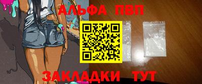 стаф Кингисепп