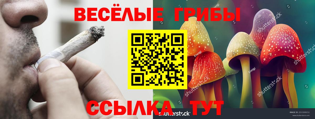 Алапаевск  цена наркотик  Вход с VPN  Галлюциногенные грибы Psilocybine cubensis 
